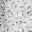 Dark Gray Leopard