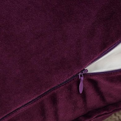 Spring Velvet Decorative Throw Pillow Covers, Set of 2