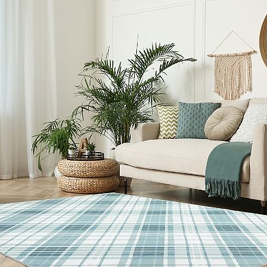 ANIXOL Washable Plaid Area Rug Non Slip, Thin Foldable Soft Low Pile Indoor Carpet