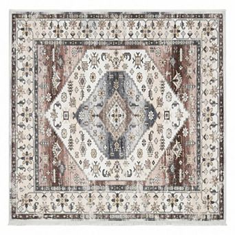 ANIXOL Machine Washable Non-Slip Area Rug Soft Low Pile Oriental Vintage Carpet for Living Room