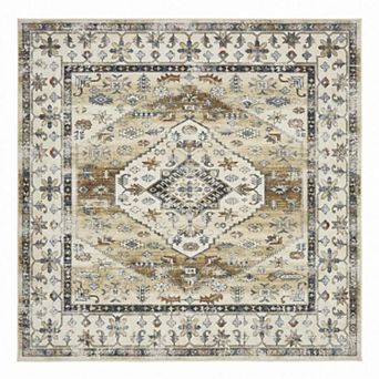ANIXOL Machine Washable Non-Slip Area Rug Soft Low Pile Oriental Vintage Carpet for Living Room