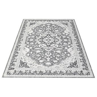 ANIXOL Vintage Area Rug Washable Non-Slip Low-Pile Carpet with Rubber Backing for Living Room