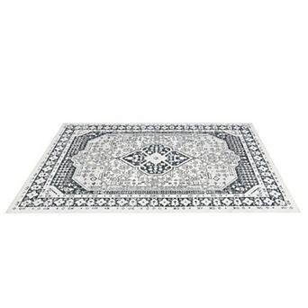 ANIXOL Washable Area Rug, Non-Slip Vintage Soft Carpet, Ultra-Thin Accent Rug for Living Room