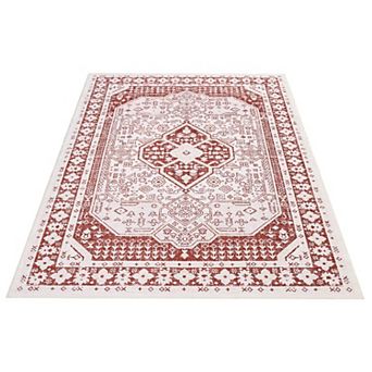 ANIXOL Washable Area Rug, Non-Slip Vintage Soft Carpet, Ultra-Thin Accent Rug for Living Room
