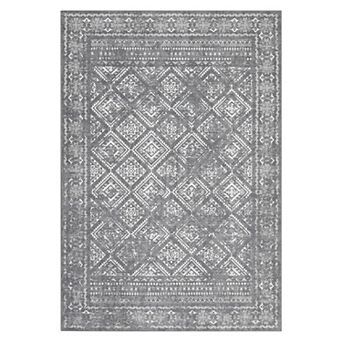 ANIXOL Washable Vintage Area Rug Non-Slip Low Pile Soft Carpet