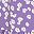 Purple Flower