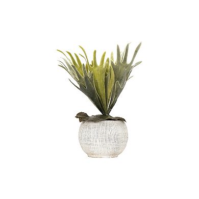 Hello Honey Distressed Cream Terracotta Planter with Fluted Texture