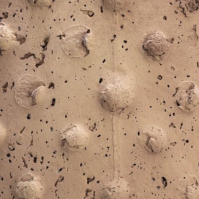 Hello Honey Round Sandstone Hobnail Planter with Distressed Finish