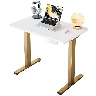 Adjustable Height Electric Standing Desk, 32" Small, 4 Memory Settings