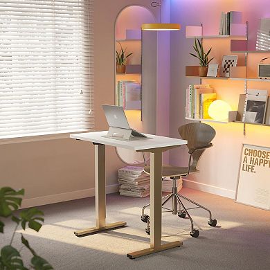 Adjustable Height Electric Standing Desk, 32" Small, 4 Memory Settings
