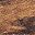 Rustic Brown And Black