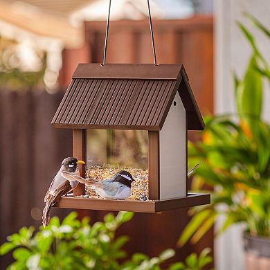 New Age Pet® ECOFLEX® Feathered Friends Beak Bistro Bird Feeder