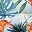 Hawaiian Flower