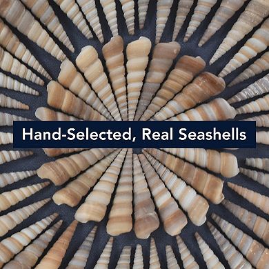American Art Décor Seashell Shadowbox Wall Art Set of 2