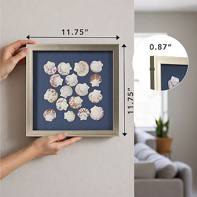 American Art Décor Seashell Shadowbox Wall Art Set of 2