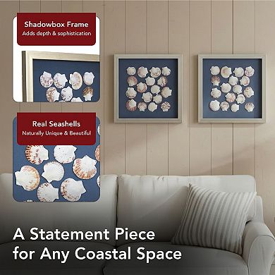 American Art Décor Seashell Shadowbox Wall Art Set of 2