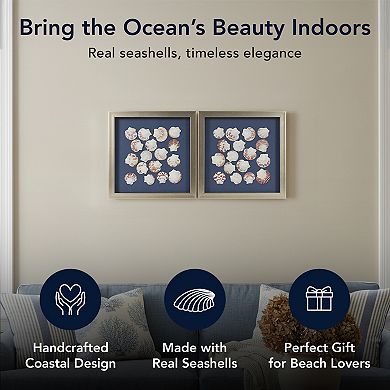 American Art Décor Seashell Shadowbox Wall Art Set of 2