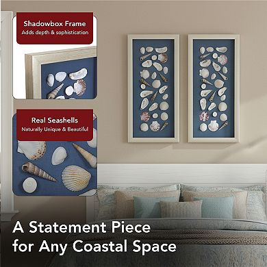 American Art Décor Mixed Seashell Shadowbox Wall Art Set of 2