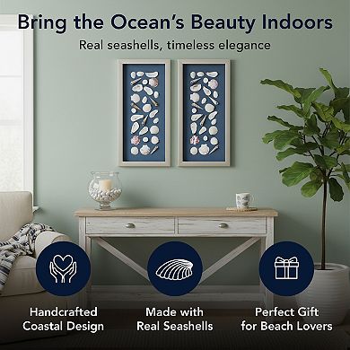 American Art Décor Mixed Seashell Shadowbox Wall Art Set of 2