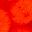 Dark Orange