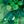 Green Mix