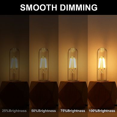 T25/T30 Edison LED Tubular Bulb 40W Equivalent, E26 Base 2700K Warm White Dimmable Vintage, 4 Pack