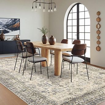 Oriental Vintage Distressed Area Rug, Stain-Resistant Indoor Rug for Living & Dining Room