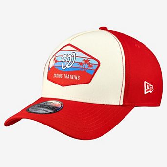 Men's New Era Stone Washington Nationals 2026 Spring Training Fan Pack Gradient 39THIRTY Flex Hat