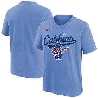 Youth Nike Light Blue Chicago Cubs Electric Bear Alternate T-Shirt