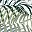 Bamboo Leaves