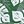 Green White