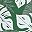 Green White