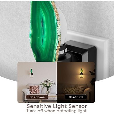 Green Agate LED Night Light Plug-In, Dimmable with Sensor, 2-Pack