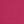 Canvas Hot Pink