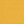Canvas Sunflower
