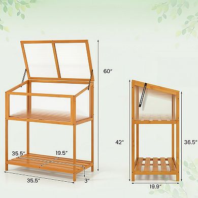 2-in-1 Elevated Fir Wood Greenhouse with Adjustable Roof