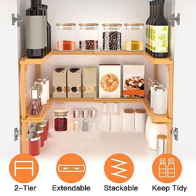 2-Tier Expandable Spice Rack Counter & Pantry Organizer