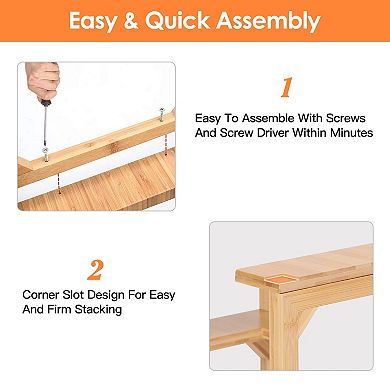 2-Tier Expandable Spice Rack Counter & Pantry Organizer