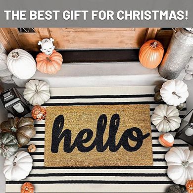 Striped Rug Washable, Non-Slip, Front Door Mat for Entryway