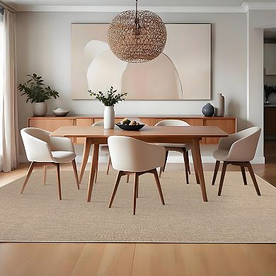 Modern Minimalist Area Rug Machine Washable, Non-Slip, Ultra-Thin, Non-Shedding Carpet