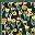 Yellow Green