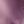 Pink Berry Ombre