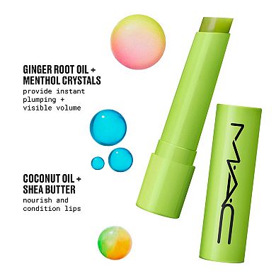 Squirt Plumping + Nourishing Lip Gloss Stick