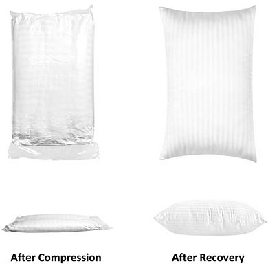 Great Ambitions Queen 2-Pack Hotel Pillows, 20x30", Down Alternative for Side & Back Sleepers