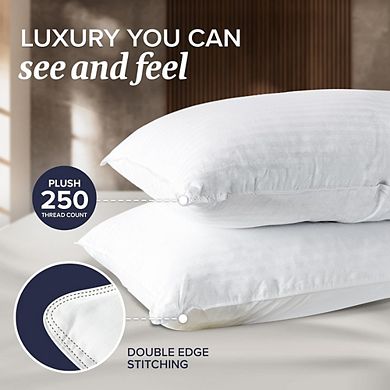Great Ambitions Standard,Queen 2-Pack Down Alternative Pillows - Soft Support for All Sleepers