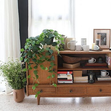 Great Ambitions Realistic Fake Hanging Pothos Plant: 33" Long, 2 Silk Vine Vines