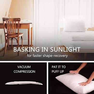 Great Ambitions Luxury Soft Down Alternative Pillows, Fluffy Hotel Collection, Machine Washable