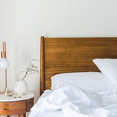 Great Ambitions Luxury Soft Down Alternative Pillows, Fluffy Hotel Collection, Machine Washable