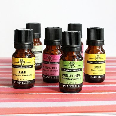 Plantlife Litsea Essential Oil - Aromatherapy