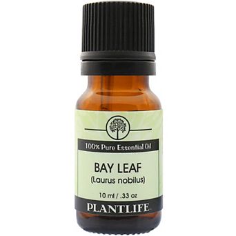 Plantlife Bay Leaf Essential Oil - Aromatherapy